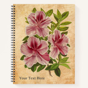 The Azalea's Secret Notebook