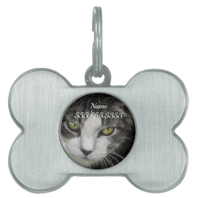 The Baby Look Pet Tag (Front)