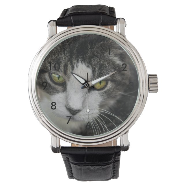 The Baby Look Watch (Front)