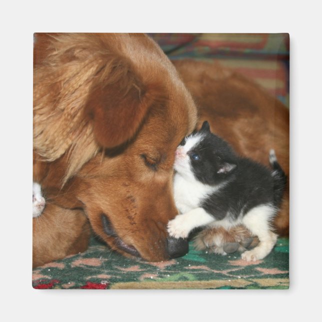 The babysitter magnet (Front)