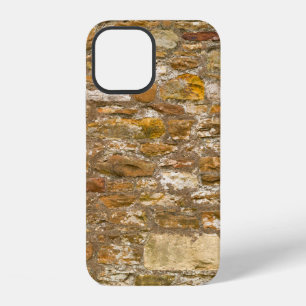 The background and texture stone wall. High resolu iPhone 12 Case