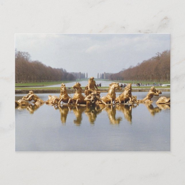 The Backyard Postcard (Front)