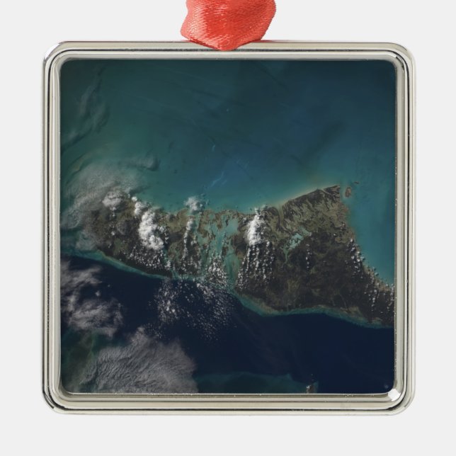The Bahamas' Andros Island Metal Tree Decoration (Front)