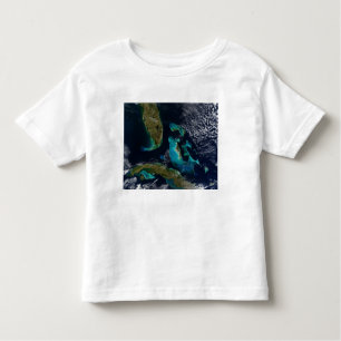 The Bahamas, Florida, and Cuba Toddler T-Shirt