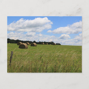 The Bales of Summer 2 Postcard
