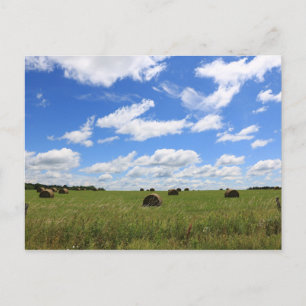 The Bales of Summer 3 Postcard