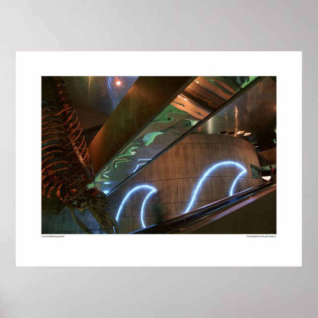 The Baltimore Aquarium Poster (Front)