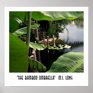 The Bamboo Umbrella Poster