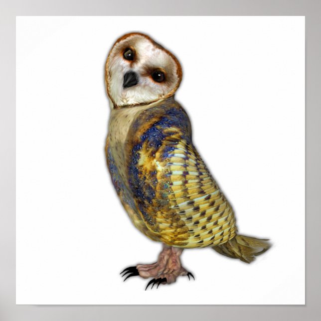 The Barn Owl Poster (Front)