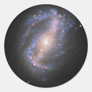 The Barred Spiral Galaxy NGC 6217 Classic Round Sticker
