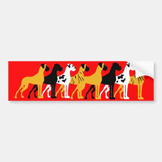 The basic Great Dane colours Bumper Sticker (Front)