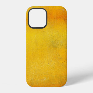 The Basilica of the Sacred Heart of Parisarchitect iPhone 12 Case