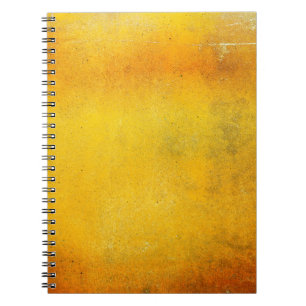 The Basilica of the Sacred Heart of Parisarchitect Notebook