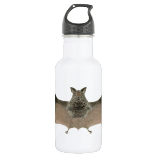 the bat 532 ml water bottle