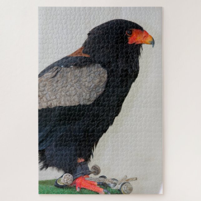 The Bateleur Eagle Jigsaw Puzzle (Vertical)