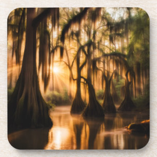 The Bayou Coaster