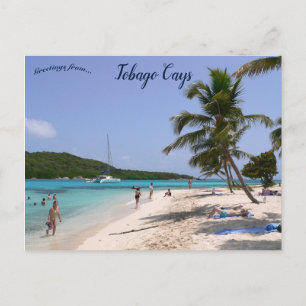 The Beach at Tobago Cays Postcard