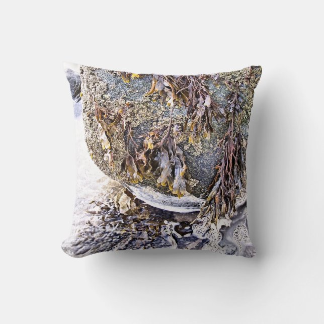 THE BEACH CUSHION (Front)