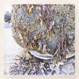 THE BEACH GLASS COASTER