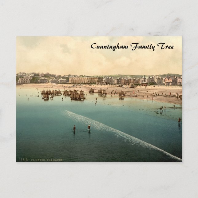 The Beach II, Paignton, Devon, England Postcard (Front)