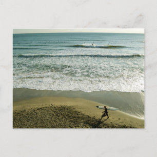 The Beach Life - Sagami Bay, Japan Postcard