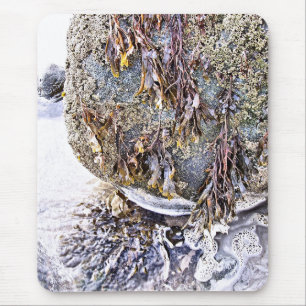 THE BEACH MOUSE PAD
