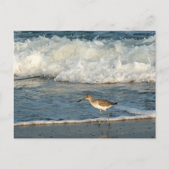 The Beach Postcard (Front)