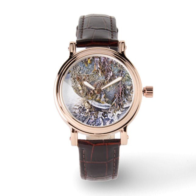 THE BEACH WATCH (Front)