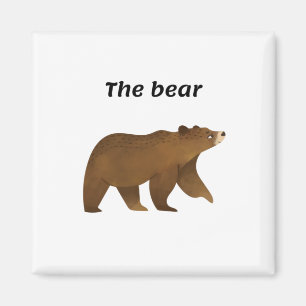 The bear magnet