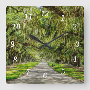 The Beautiful Avenue Of Oaks Wall Clock