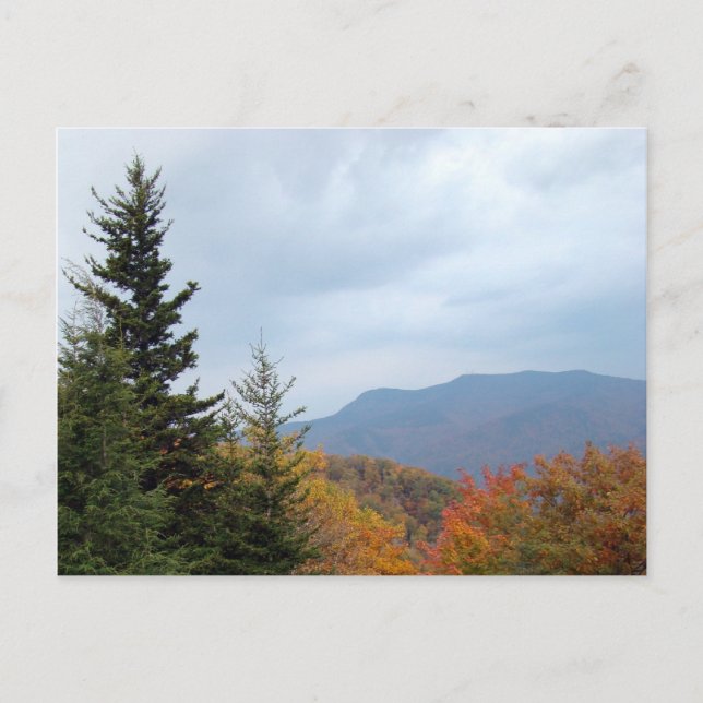The Beautiful Blue Ridge Mountains Postcard (Front)