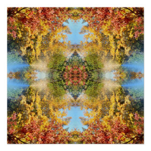 The beautiful forest in Autumn... Poster