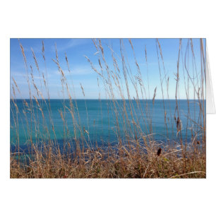 The beautiful Grass and Sea