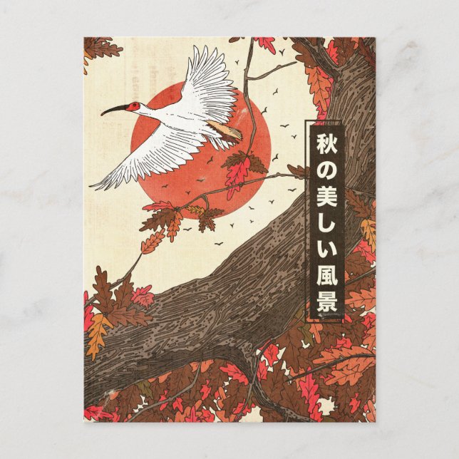 The Beautiful Landscape in Fall Postcard (Front)