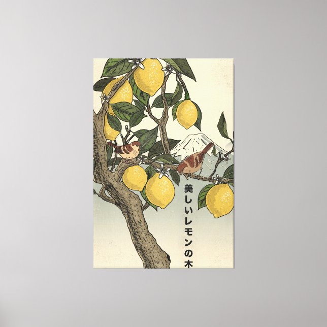 The Beautiful Lemon Tree Canvas Print (Front)