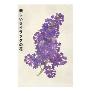 The Beautiful Lilac Flower Photo Print