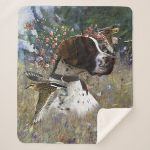 The beautiful pointer in the field  sherpa blanket