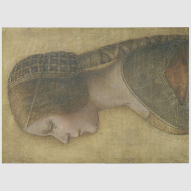 The Beautiful Princess (by Leonardo da Vinci) Tissue Paper (Front)