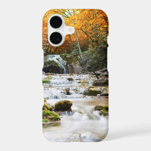 The beautiful waterfall in forest, autumn