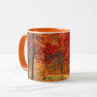 The Beauty of Autumn