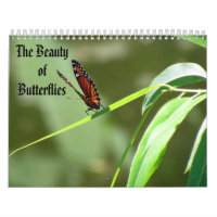 The Beauty of Butterflies Calendar