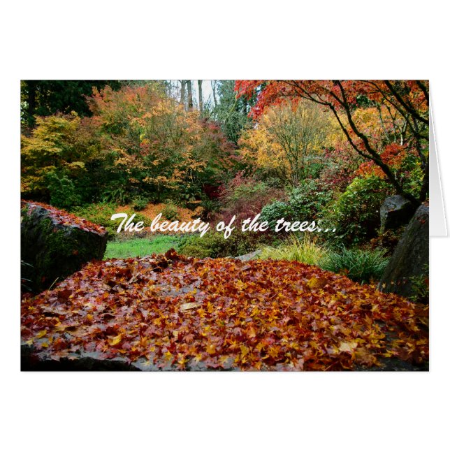 The beauty of the trees... (Front Horizontal)