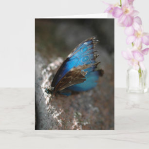 "The Beauty Within" Blue Butterfly Blank Card