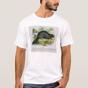 The Beaver, educational illustration pub. by the S T-Shirt