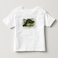 The Beaver, educational illustration pub. by the S