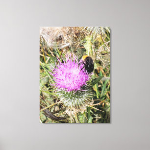 The bee on the purple thistle. canvas print