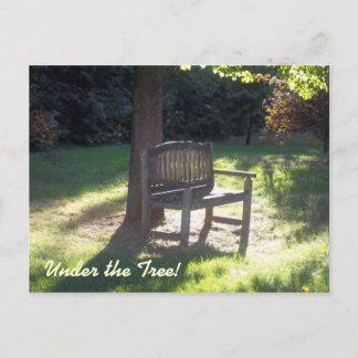 The Bench Postcard