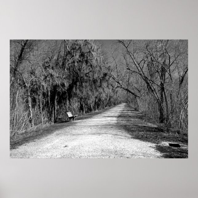 The Bench Poster (Front)