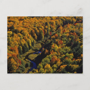The Big Carp River in autumn at Porcupine Postcard