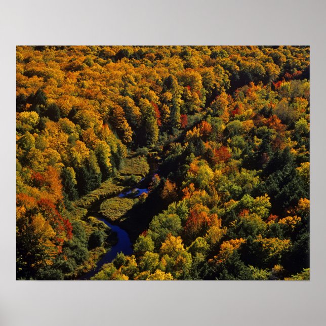 The Big Carp River in autumn at Porcupine Poster (Front)